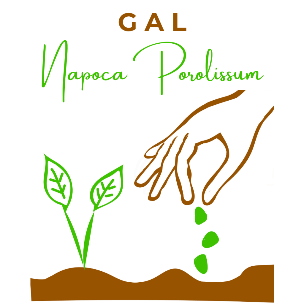 Asociația GAL Napoca Porolissum